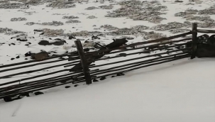 Şanlıurfa'da Kar Yağışı Başladı!