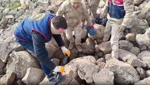 Şanlıurfa'da silah kaçakçılarına operasyon: 23 gözaltı