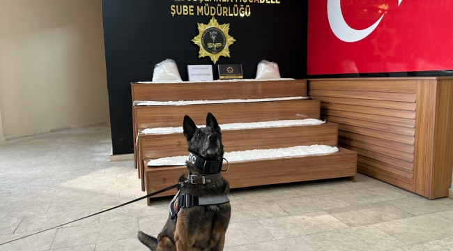 Şanlıurfa'da uyuşturucu operasyonu, 1 tutuklama