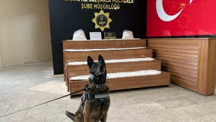 Şanlıurfa'da uyuşturucu operasyonu, 1 tutuklama