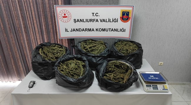 Şanlıurfa'da uyuşturucu operasyonu, 2 tutuklama