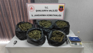 Şanlıurfa'da uyuşturucu operasyonu, 2 tutuklama