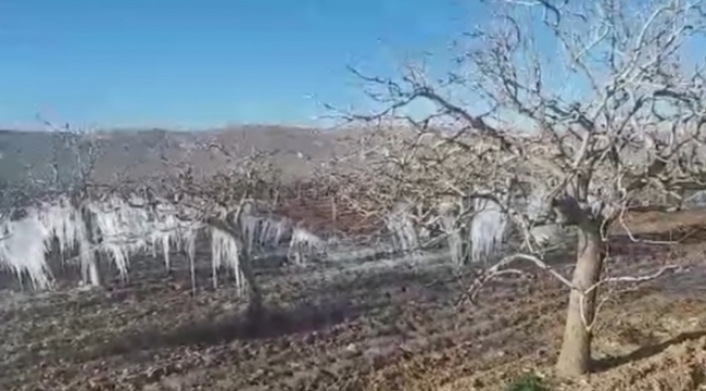 Şanlıurfa Dondu