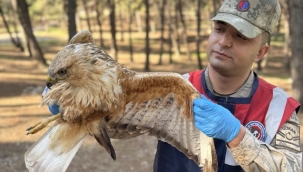 Şanlıurfa İl Jandarma Komutanlığı Hayat Kurtarmaya Devam Ediyor