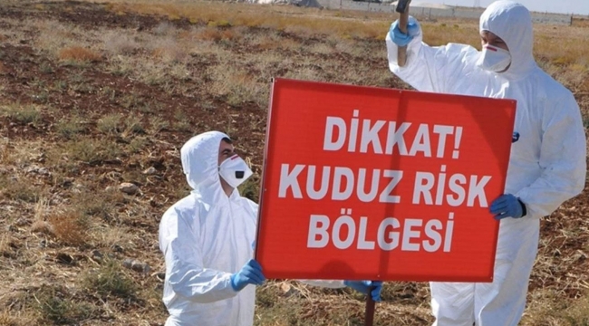 Siverek Kaymakamlığından Kuduz Açıklaması