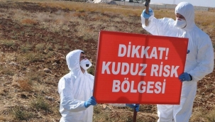 Siverek Kaymakamlığından Kuduz Açıklaması