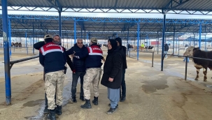 Siverek'te güvenlik ve trafik denetimi yapıldı