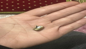 Viranşehir'de Yorgun Mermi Korkuttu: Park Halindeki Aracın Ön Camına İsabet Etti