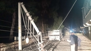 Birecik'te Fırtına: Ağaçlar Devrildi, Direkler Kırıldı