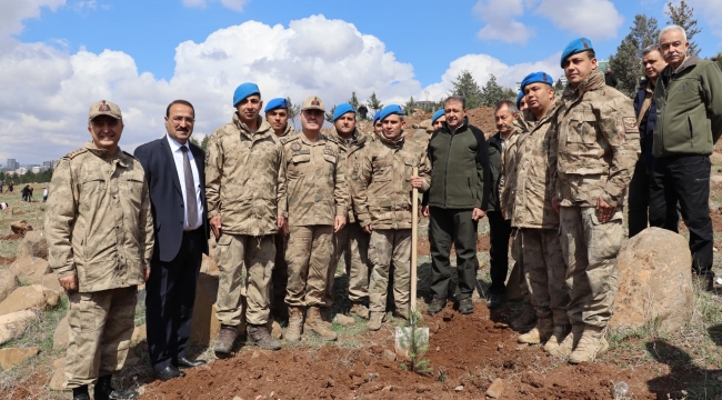Şanlıurfa'da fidanlar topraklarla buluştu