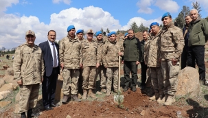 Şanlıurfa'da fidanlar topraklarla buluştu