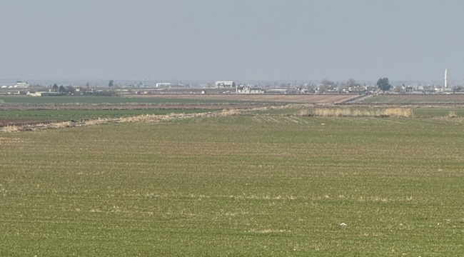 Şanlıurfa'da kuraklık korkusu