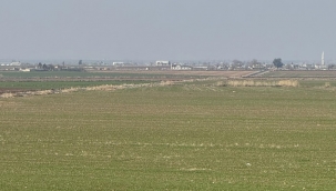 Şanlıurfa'da kuraklık korkusu