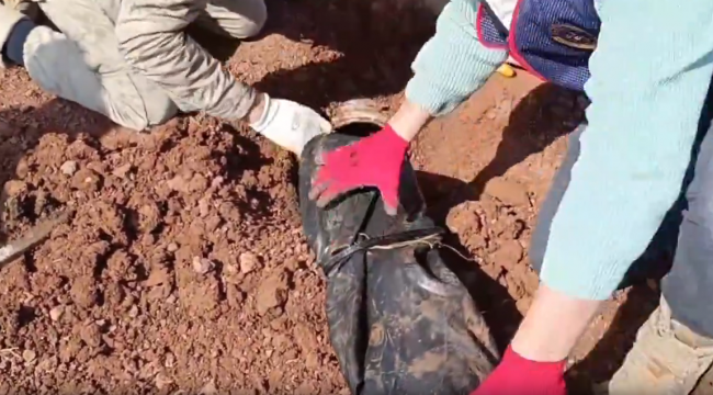 Şanlıurfa'da silah kaçakçılarına operasyon, 14 gözaltı