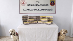 Şanlıurfa jandarmadan başarılı operasyon