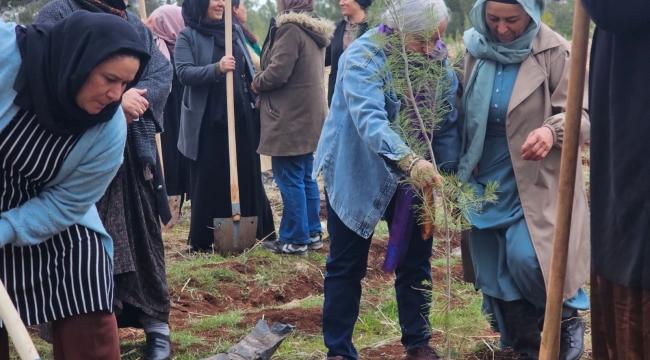 Viranşehir'de 8 Mart İçin Anlamlı Başlangıç: Kadınlar Ağaç Dikimi Gerçekleştirdi