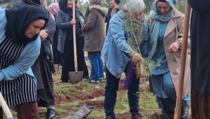 Viranşehir'de 8 Mart İçin Anlamlı Başlangıç: Kadınlar Ağaç Dikimi Gerçekleştirdi