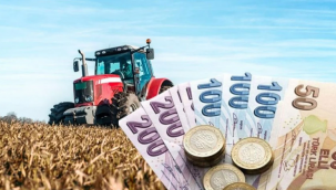 Bakan açıkladı! Ödemler başladı