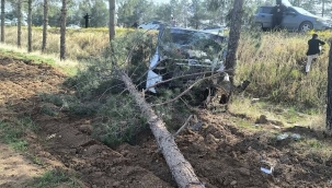 Ceylanpınar'da Feci Kaza, 1 Yaralı