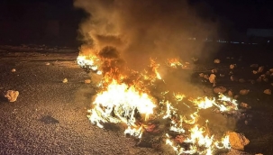 Ceylanpınar yolunda elektrik protestosu