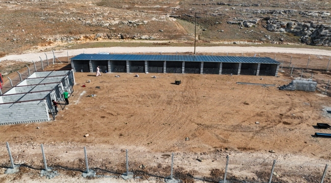 Harran Belediyesi'nden Örnek Proje: Hayvan Bakım Evi Ve Doğal Yaşam Alanı 