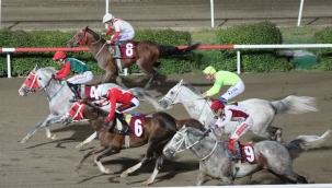 Kurtuluş Koşusunu 'Hedbe' Kazandı