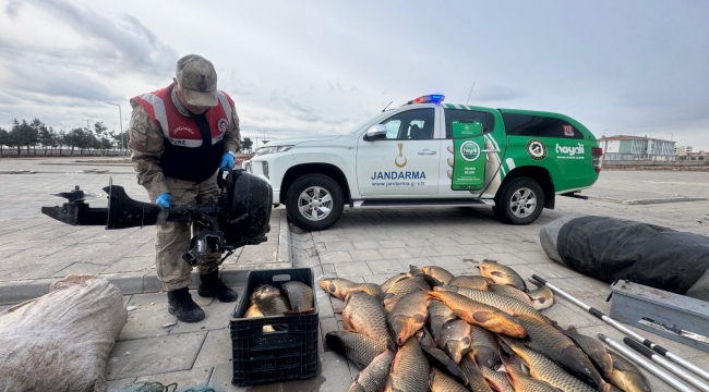 Şanlıurfa'da 250 Kilo Balık ve Yasak Av Malzemelerine El Konuldu