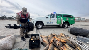 Şanlıurfa'da 250 Kilo Balık ve Yasak Av Malzemelerine El Konuldu