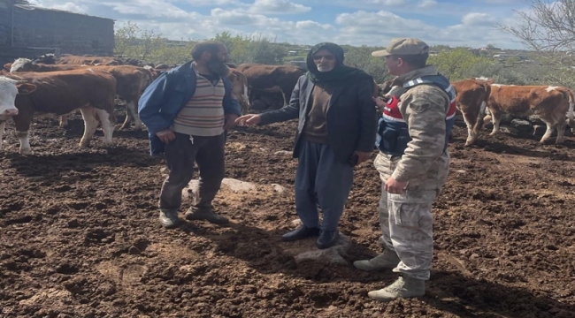 Şanlıurfa'da Büyükbaş Hayvan Hırsızını Kıskıvrak Yakaladı