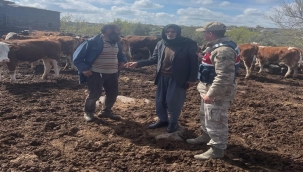 Şanlıurfa'da Büyükbaş Hayvan Hırsızını Kıskıvrak Yakaladı