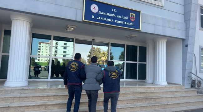 Şanlıurfa'da firari cinayet şüpheliler yakalandı