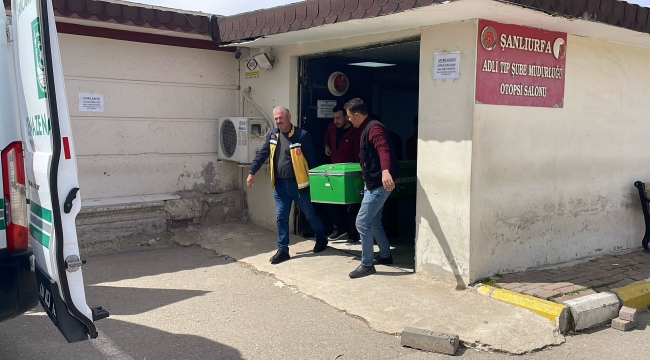 Şanlıurfa'da kazada üniversite öğrencisi hayatını kaybetti!
