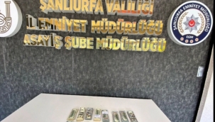 Şanlıurfa'da operasyonu: 155 bin dolar ele geçirildi.