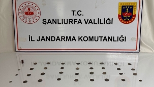 Şanlıurfa'da Tarihi Eser Kaçakçılığı Operasyonu: 2 Gözaltı