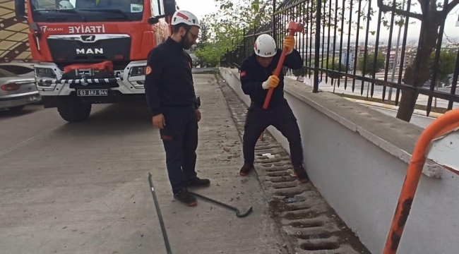 Şanlıurfa Hastane Mazgalına Düşen Yavru Kedi Kurtarıldı