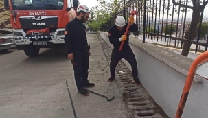Şanlıurfa Hastane Mazgalına Düşen Yavru Kedi Kurtarıldı