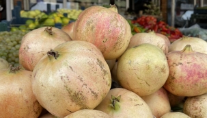 Suruç narı" yüzde 85' zarar gördü