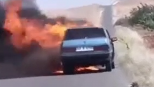 Birecik'te Alevler Yolu Sardı! Otomobil Kullanılamaz Hale Geldi