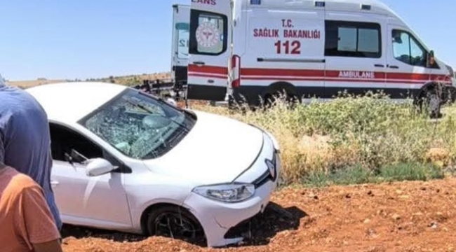 Birecik'te otomobil şarampole devrildi, 1 yaralı 
