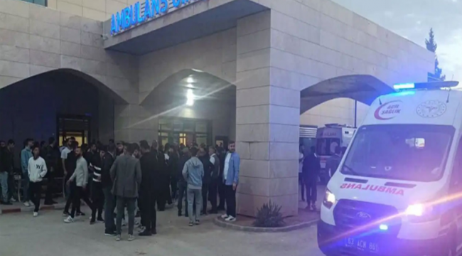 Ceylanpınar'da Otomobil Çarpıştı Yaya Öldü