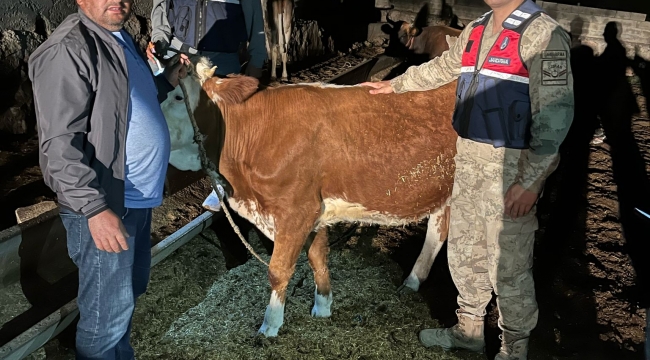Harran'da çalınan hayvanlar bulundu 