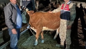 Harran'da çalınan hayvanlar bulundu