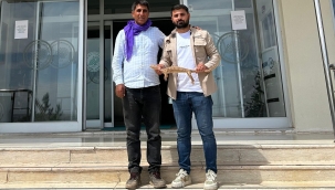 Nadir Görülen "çöl varanı" Şanlıurfa'da Bulundu