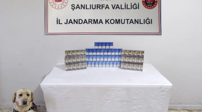 Şanlıurfa'da 980 Paket Kaçak Sigara Ele Geçirildi