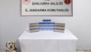 Şanlıurfa'da 980 Paket Kaçak Sigara Ele Geçirildi