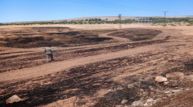 Şanlıurfa'da Arpa Tarlası Küle Döndü