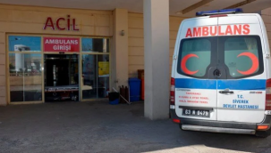 Şanlıurfa'da çoban kazara ateş alan tüfekle yaralandı