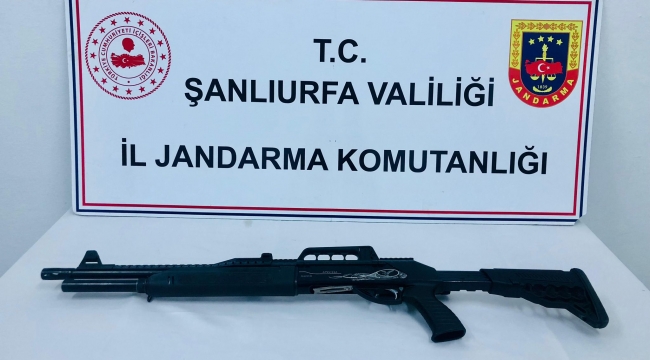 Şanlıurfa'da Jandarmadan Ruhsatsız Silah Operasyonu!