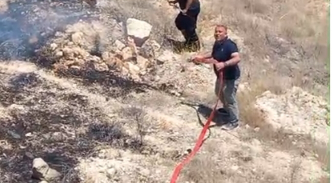 Şanlıurfa'da Ormanlık Alanda Yangın