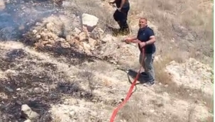 Şanlıurfa'da Ormanlık Alanda Yangın